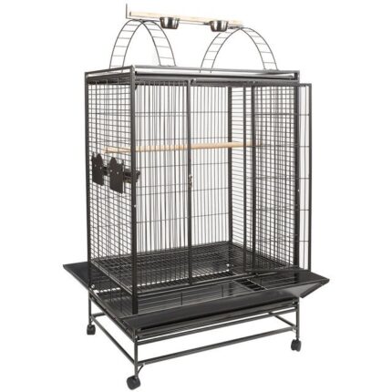 belize parrot cage